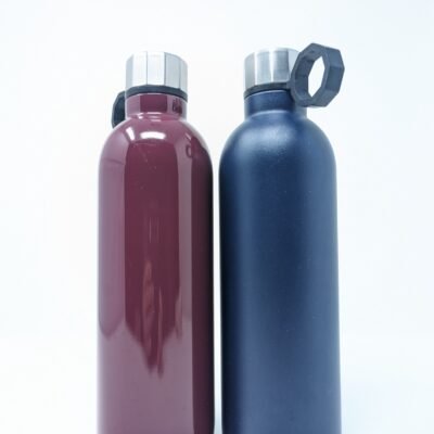 2x Starbucks 20oz Water Bottle Maroon & Navy Blue Stainless Steel Tumblers